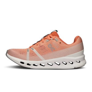 on running cloud x4 ad white wolf (copy)